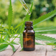 Illustration for article titled Buds and Beauty: What Is CBD (Cannabidiol) and Why Is it in iEverything/i?